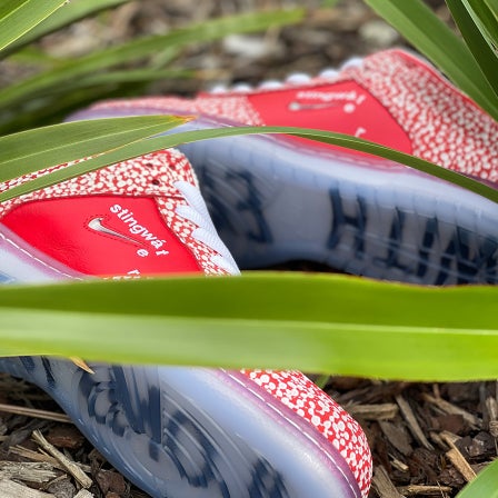 Nike SB x Stingwater "Magic Mushroom"