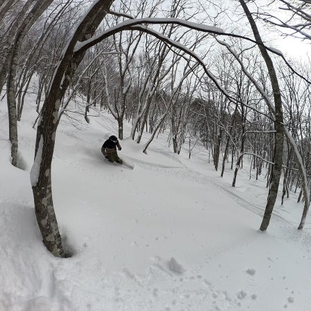 Japan Snowboard Tour 2026
