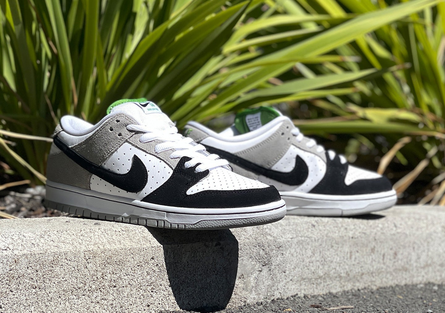 Nike SB Dunk Low ホワイト/グレー/グリーン Nike SB Dunk Chlorophyll | Boardertown