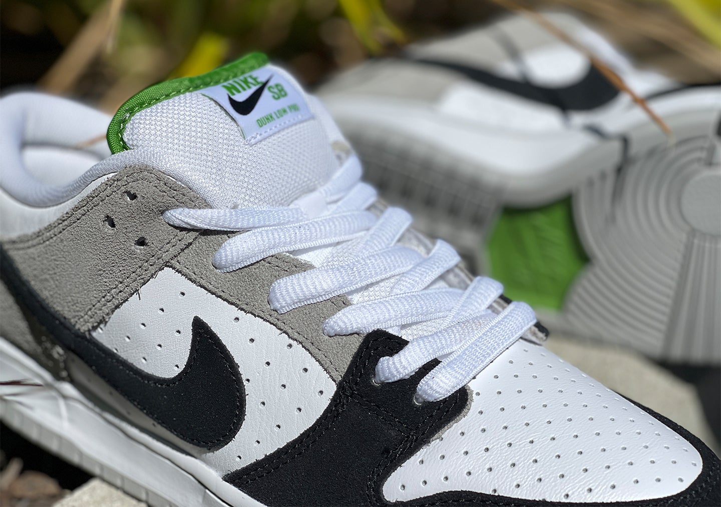 Nike SB Dunk Chlorophyll | Boardertown
