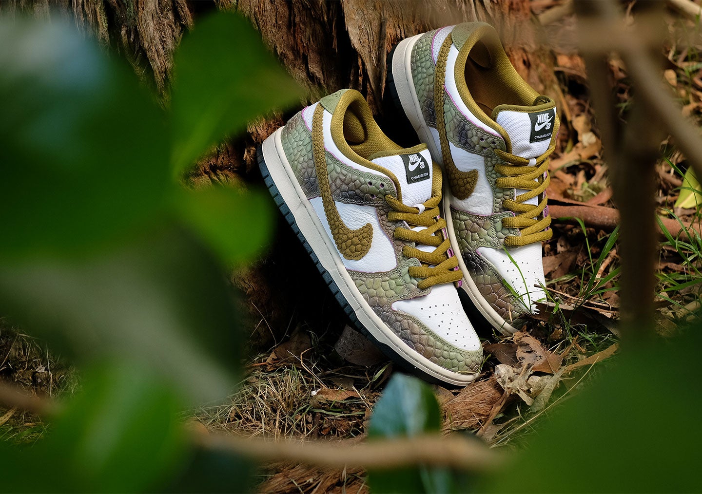 NIKE SB DUNK LOW PRO CHAMELEON | BOARDERTOWN NZ