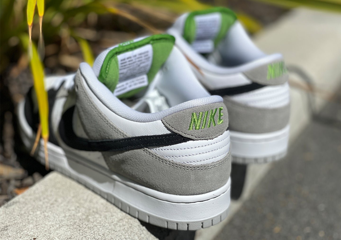 nike sb dunk low pro chlorophyll
