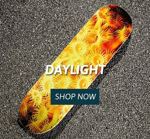 Daylight