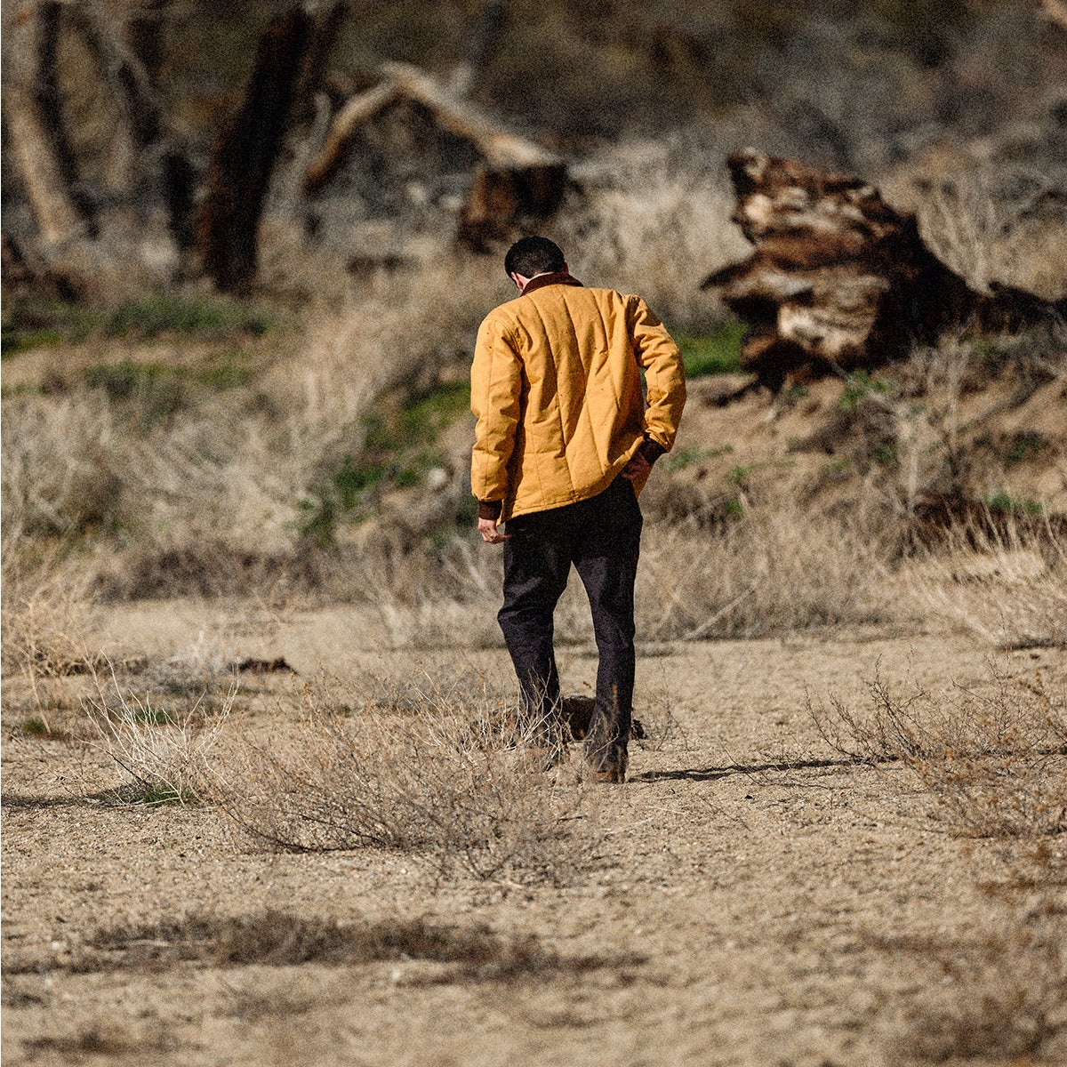 Brixton Builders Ranch Jacket in Spruce Yellow | Boardertown US