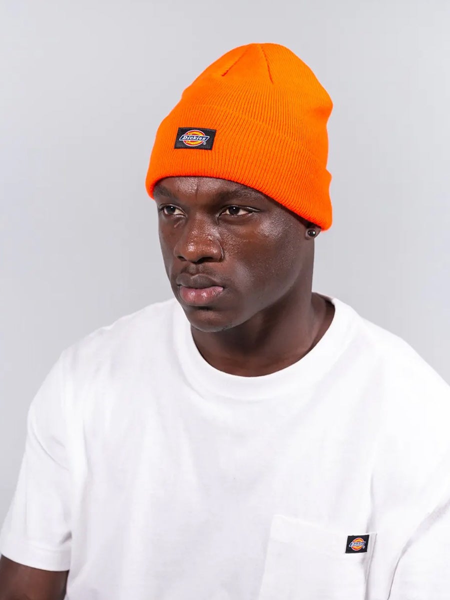 Dickies Fargo Beanie in Assorted 