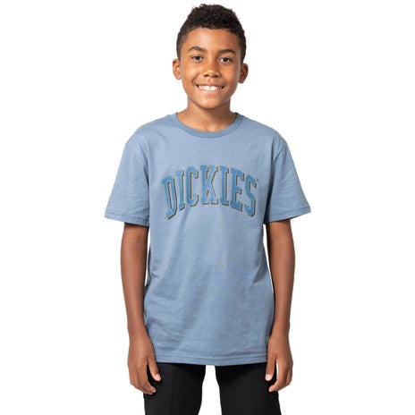 Dickies Longview Youth Tee in Steel Blue