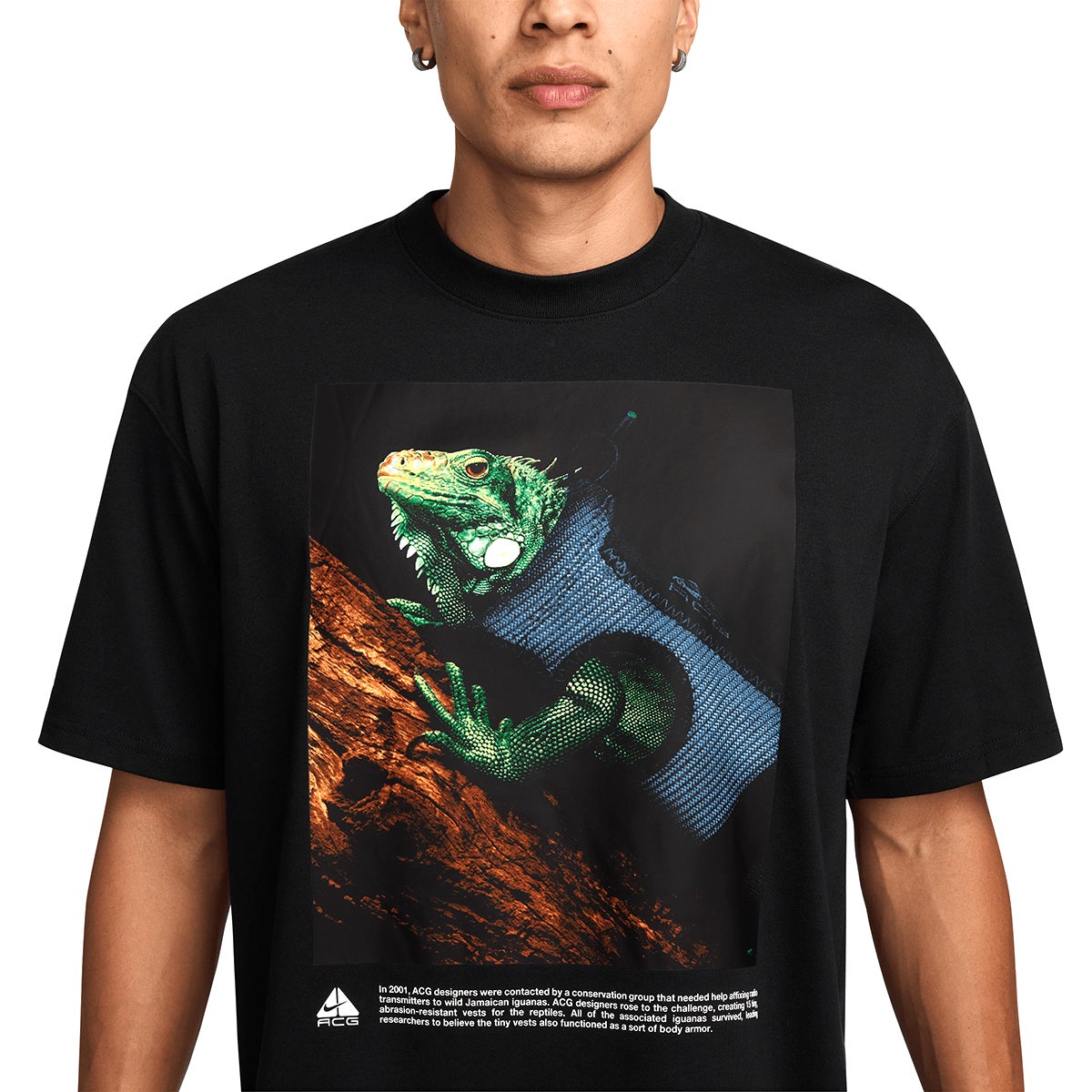 【NIKE acg】　ナイキ　イグアナ Dri-FIT Tシャツ　2XL 新品NIKE ACG DF OC イグアナ Dri-FIT Tシャツ 2XL - メルカリ