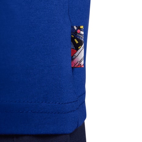 Nike SB USA Olympic Tee in Old Royal