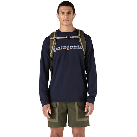 Patagonia Black Hole Pack 25L in Basin Green