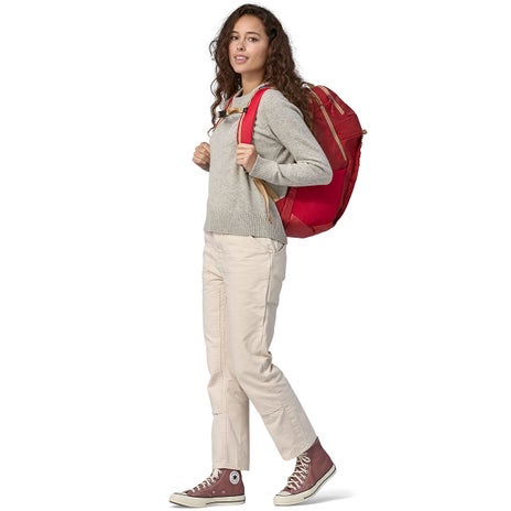 Patagonia Black Hole Pack 32L in Touring Red