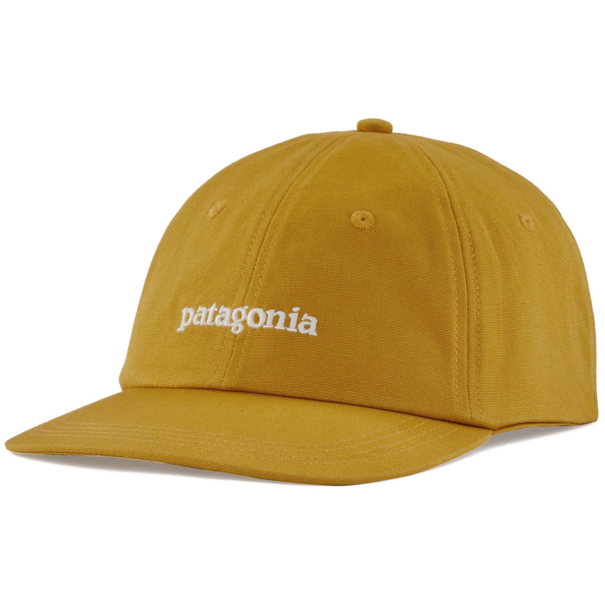 Patagonia Fitz Roy Icon Trad Cap in Multi Boardertown