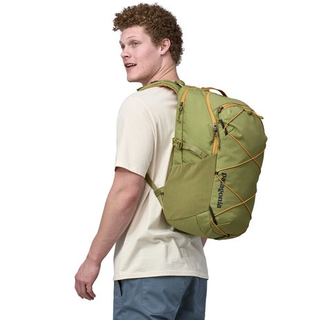 Patagonia Refugio Day Pack 30L in Buckhorn Green