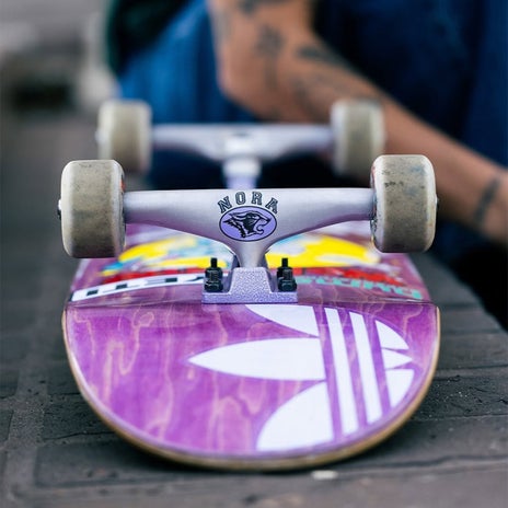 Thunder Nora Pro Edition Campus Skateboard Trucks in Nora