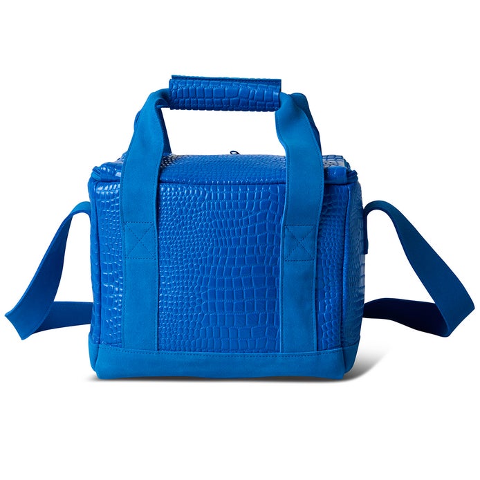 Vans Skate X Carpet Lunch Bag in Skydiver
